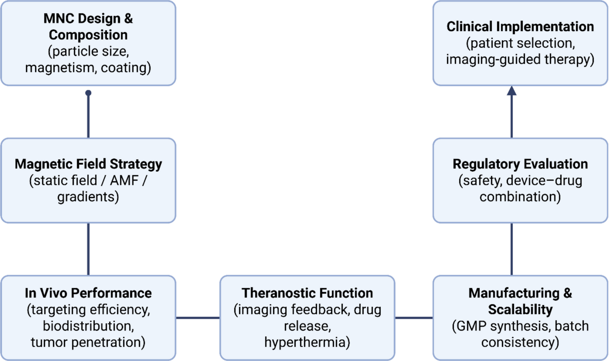 Magnetically Controlled Nanocarriers for Site-Specific Drug Delivery and Theranostics in Cancer Precision Medicine