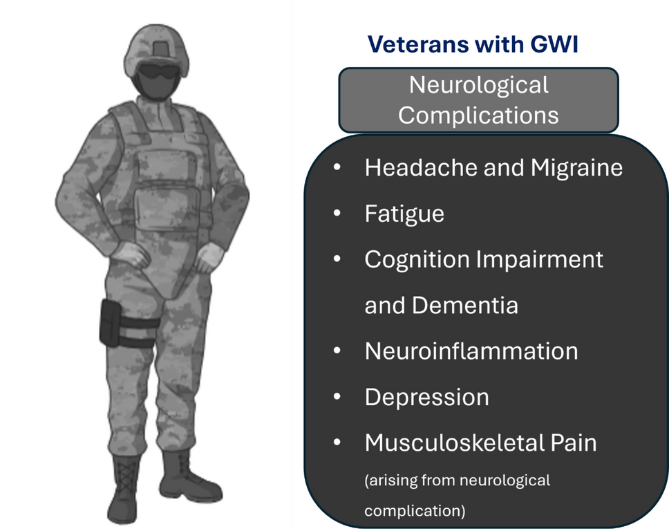 Gulf War Illness: Neurological Impacts, Pathophysiological Insights, and Therapeutic Prospects