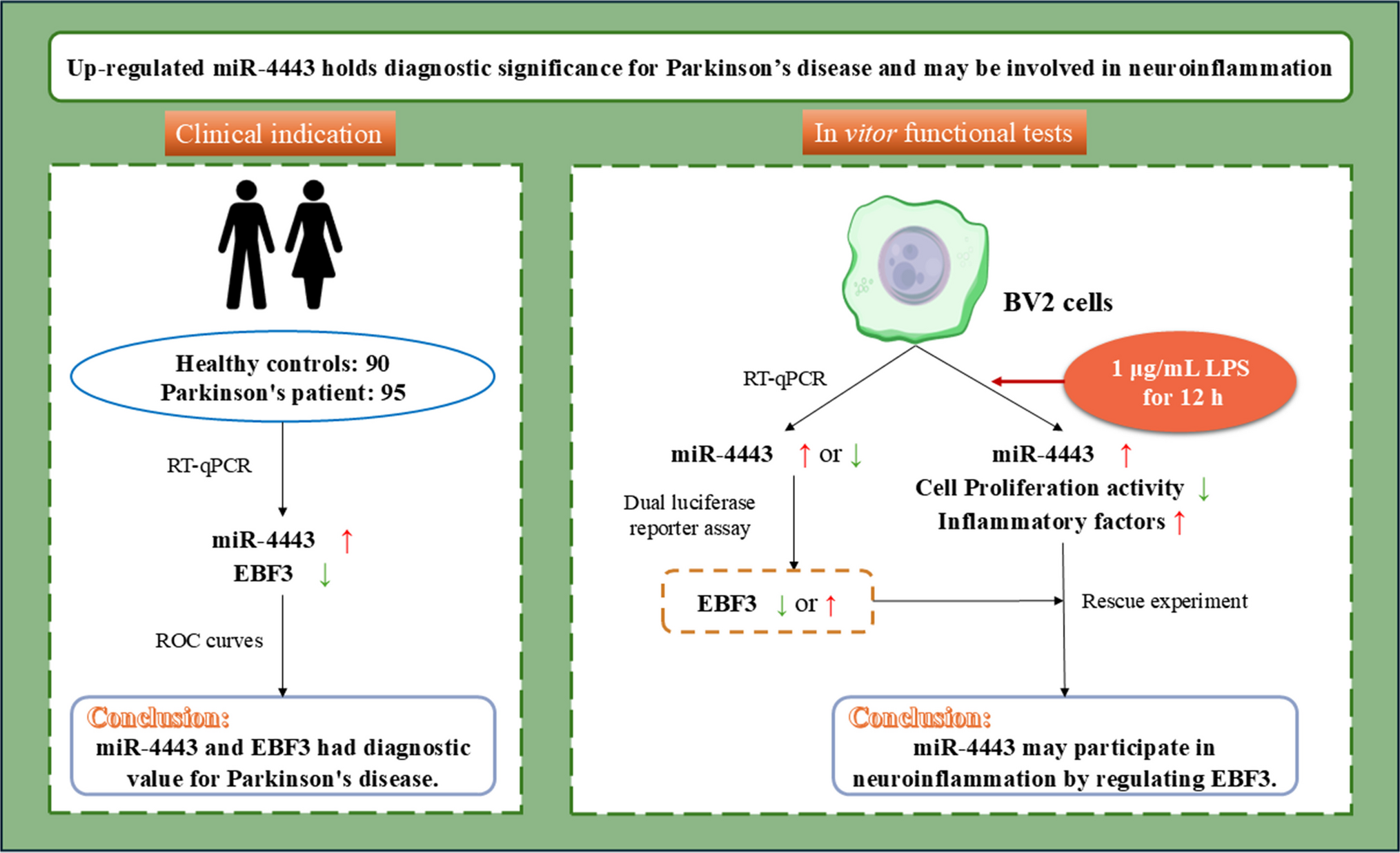 Up-regulated miR-4443 Holds Diagnostic Significance for Parkinson’s Disease and may be Involved in Neuroinflammation