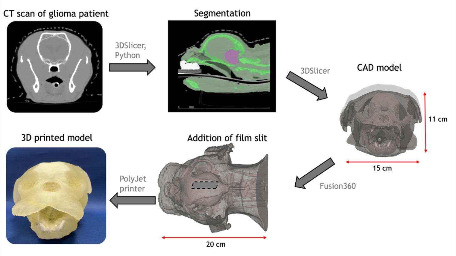 Development of a 3D-printed canine head phantom for veterinary radiotherapy
