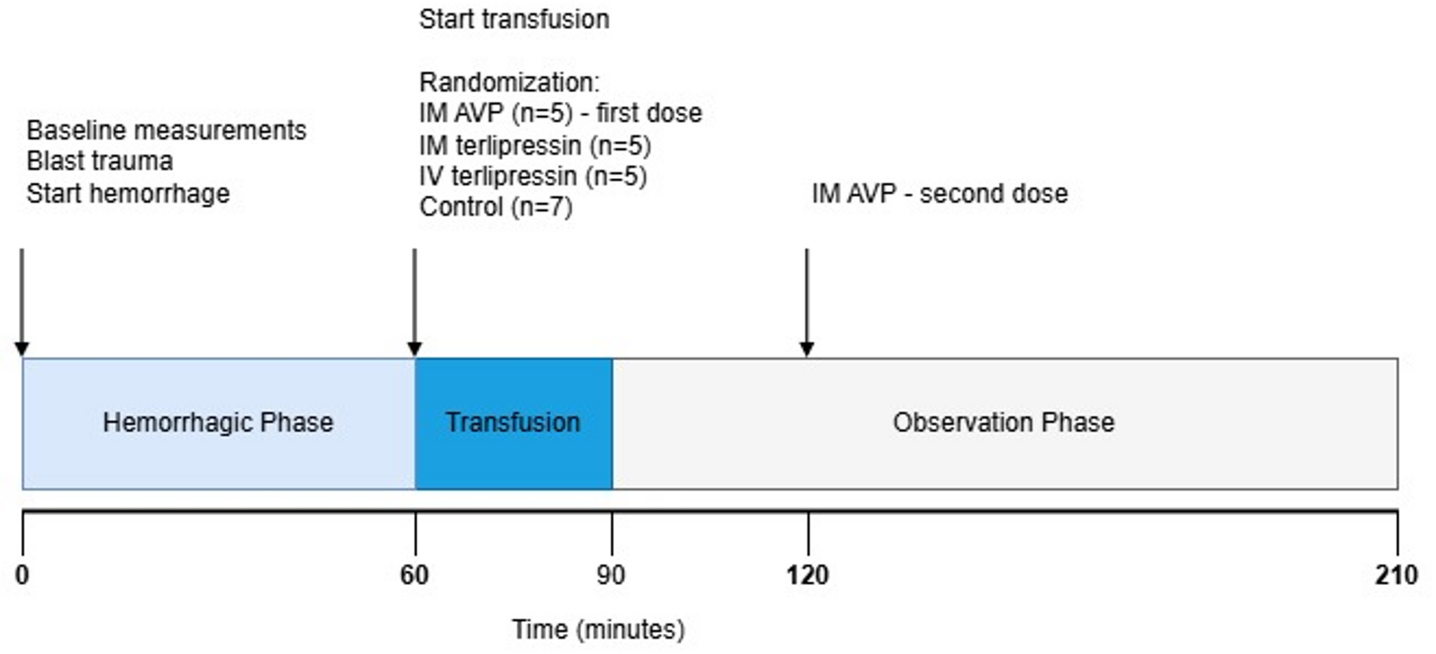Hemodynamic rescue after blast injury: intravenous administration outperforms intramuscular vasopressin in a swine model