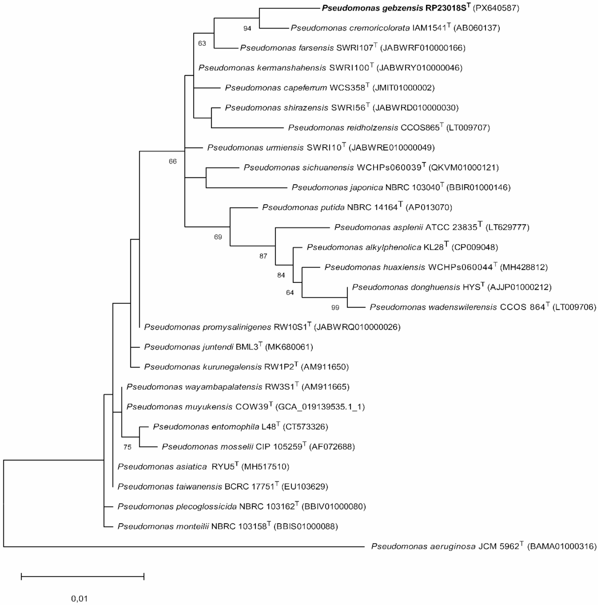 sp. nov., a Carotenoid-Producing Species Isolated from Solar Panels in Türkiye