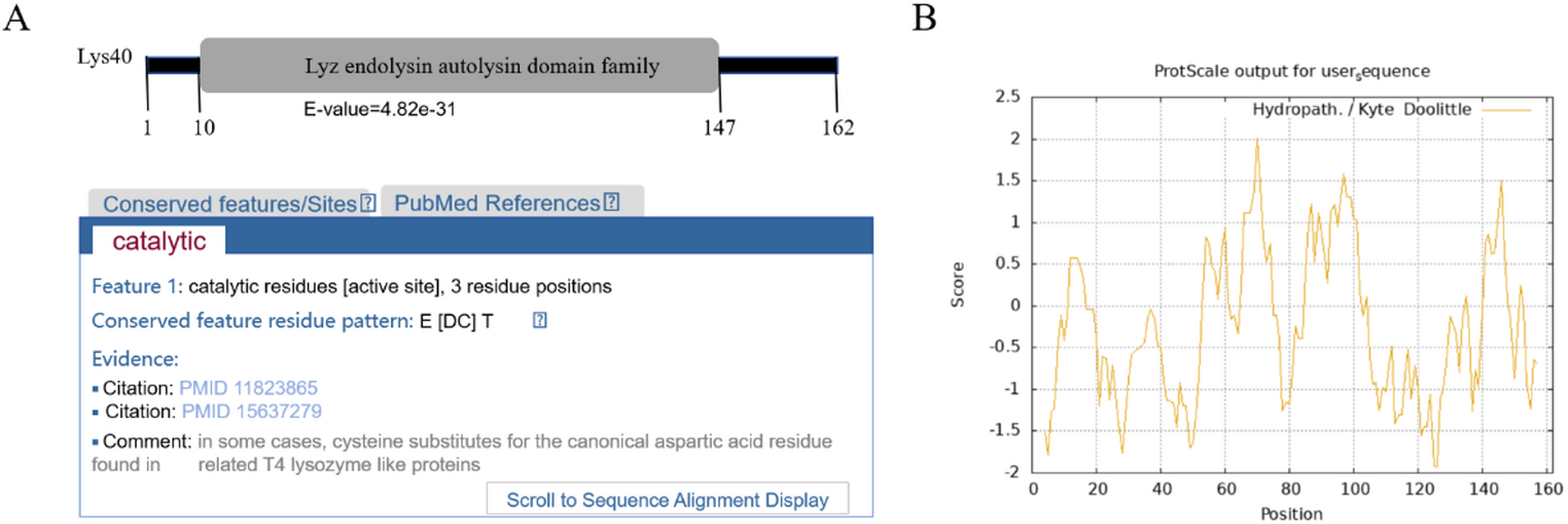 Prokaryotic Expression and Preliminary Application of Lys40, an Endolysin from Broad-Host-Range  Phage SP_4