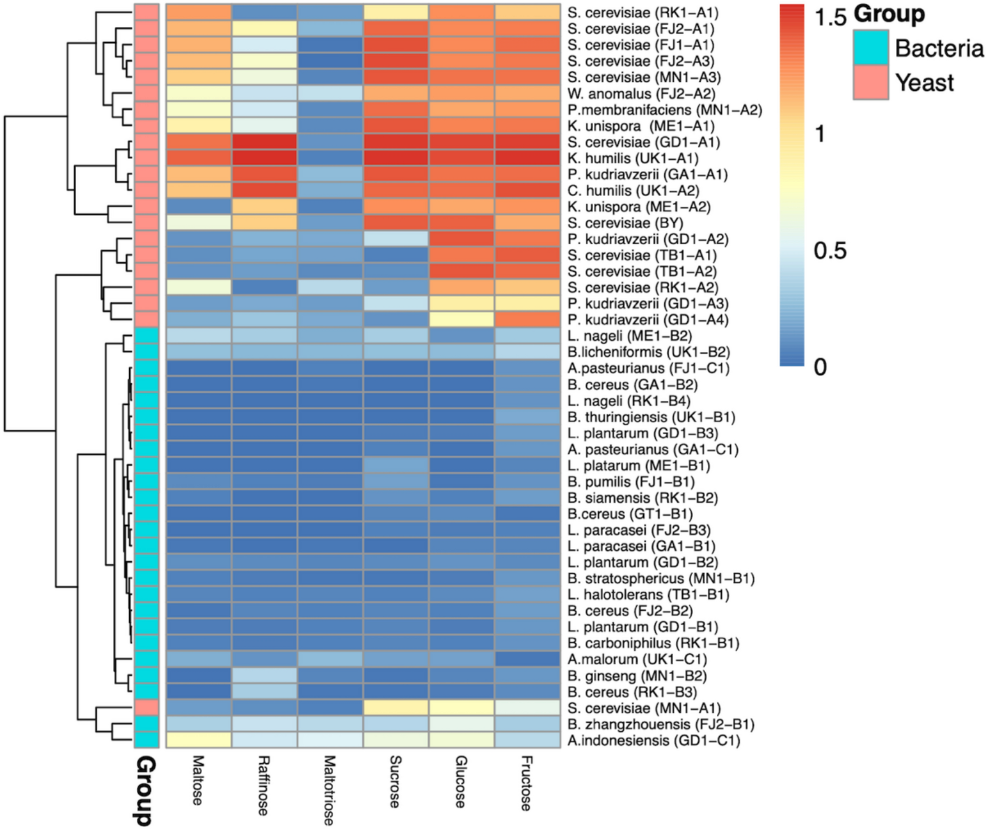 Functional Characteristics and Stress Tolerance of Microbiota in Botswana’s Traditional Sourdoughs