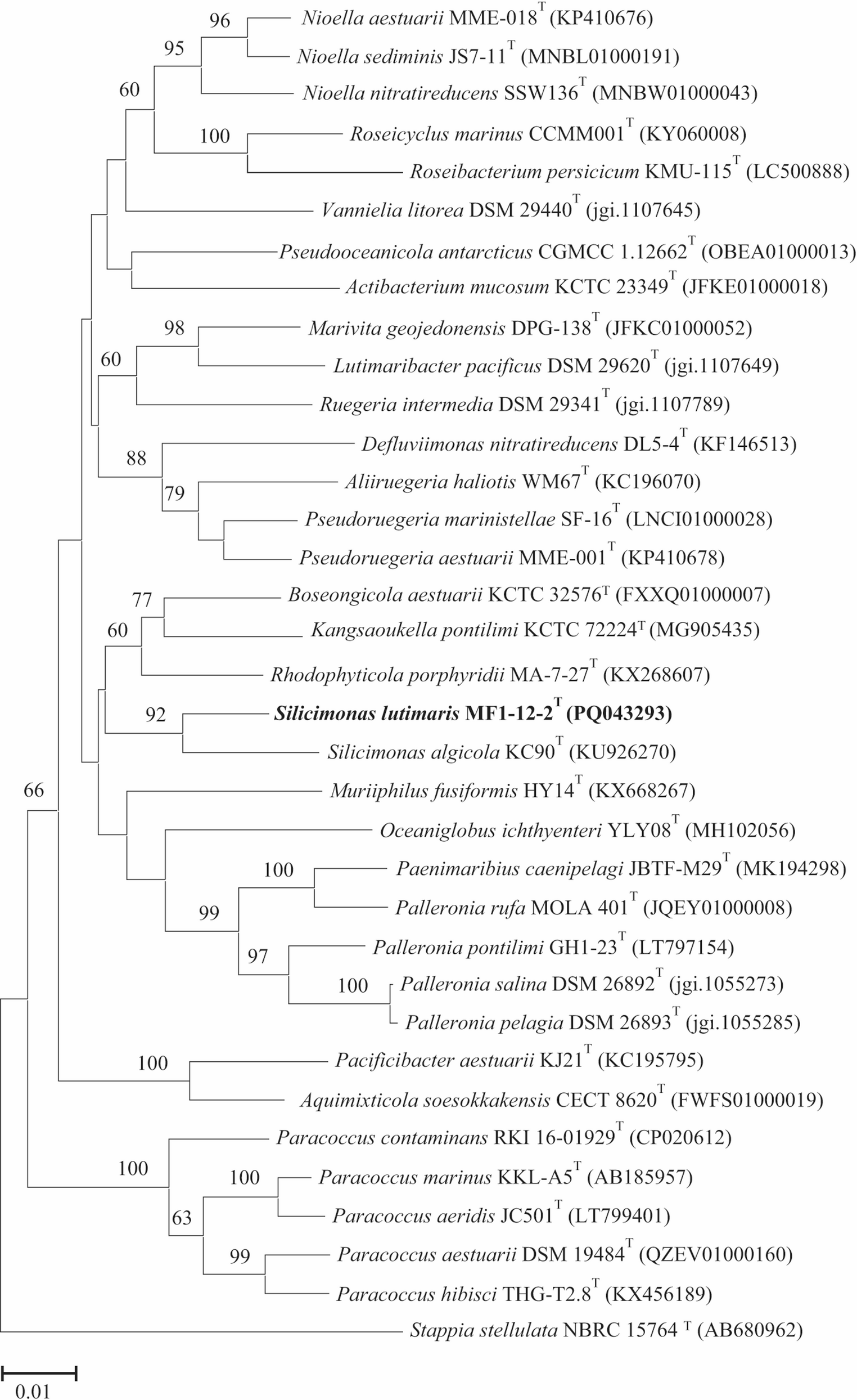 sp. nov., a Marine Bacterium Isolated from Tidal Mud of the Gochang Coast