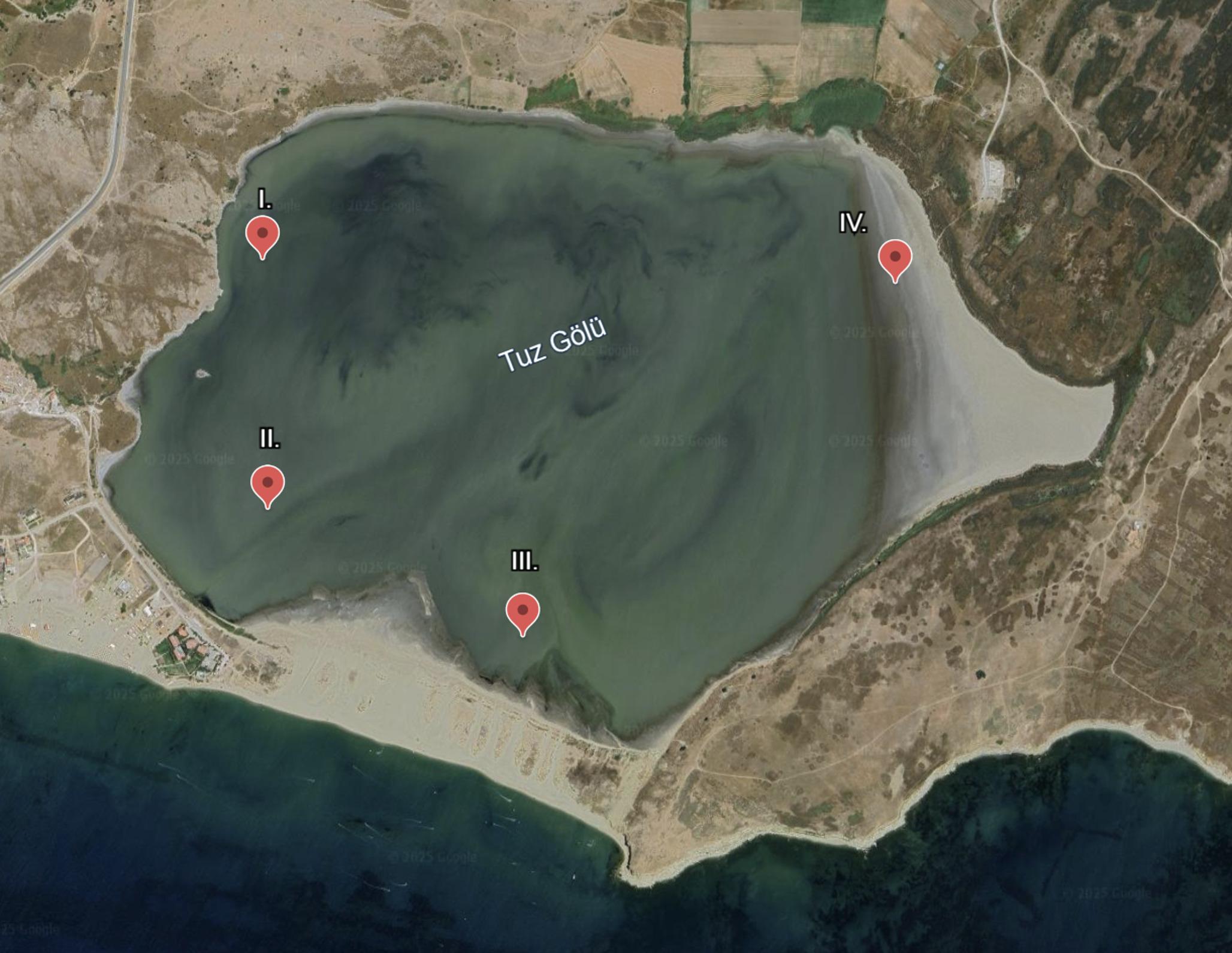 Halophilic Bacterial Diversity and Biotechnological Potential of the Gökçeada Salt Lake Lagoon (Çanakkale, Türkiye)