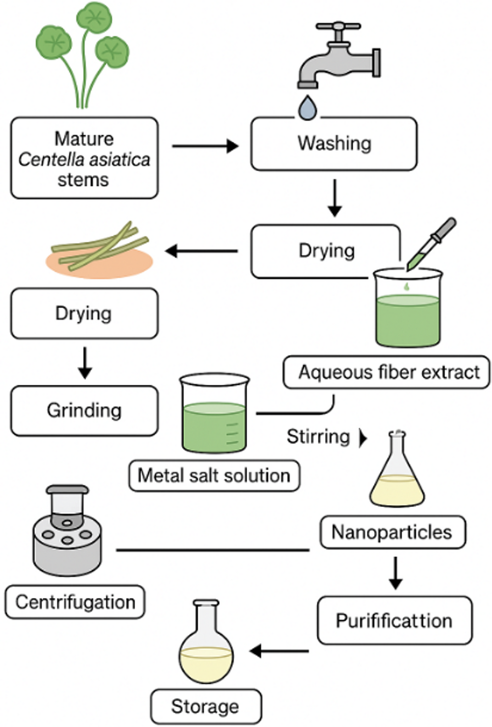 Phytochemical-Mediated Green Synthesis of ZnO–CuO Nanoparticles from  Stem Fibers: Structural, Thermal, and Antibacterial Characterization
