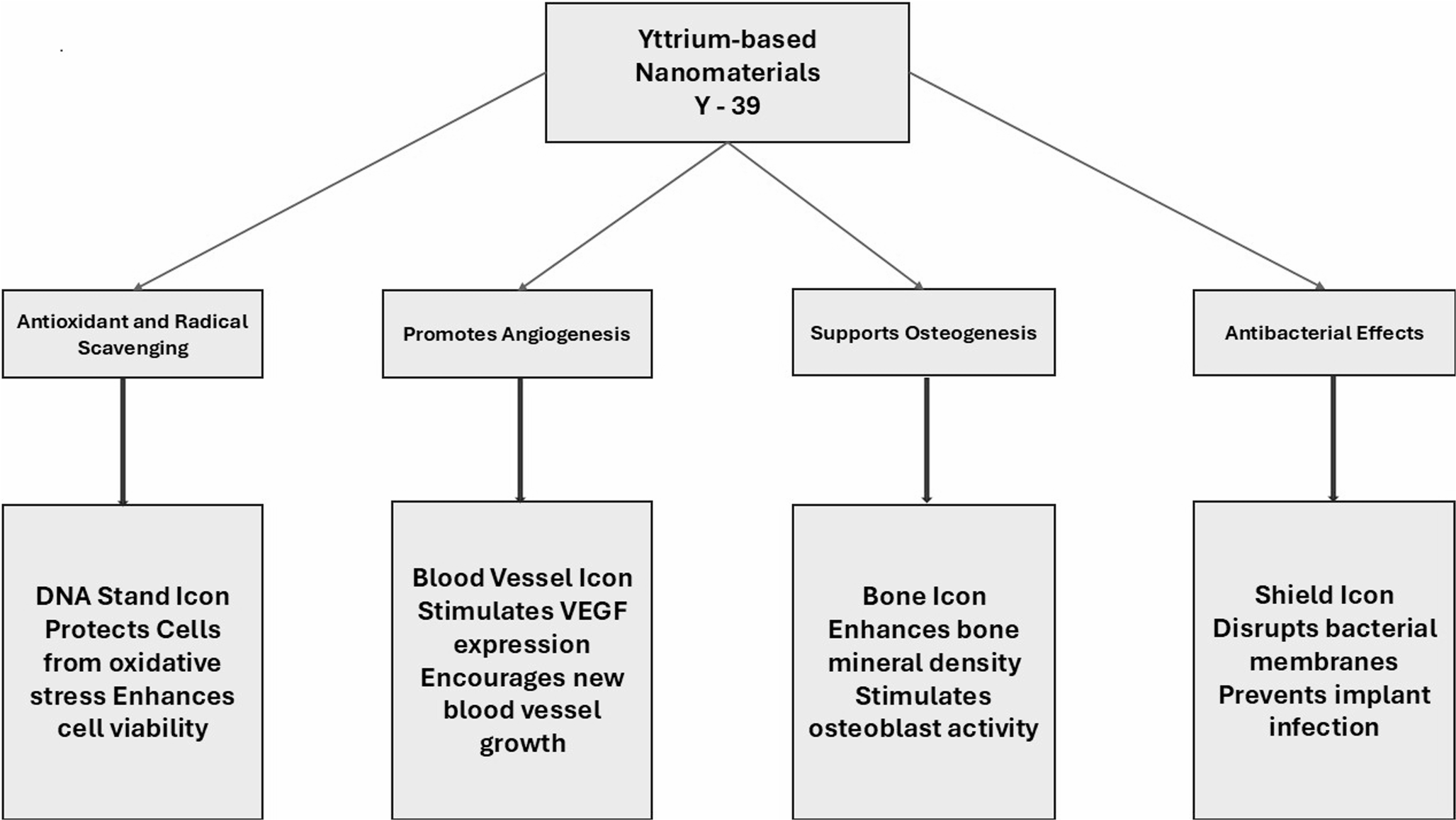 Advances in Yttrium-Based Biomaterials for Tissue Engineering: a Comprehensive Review