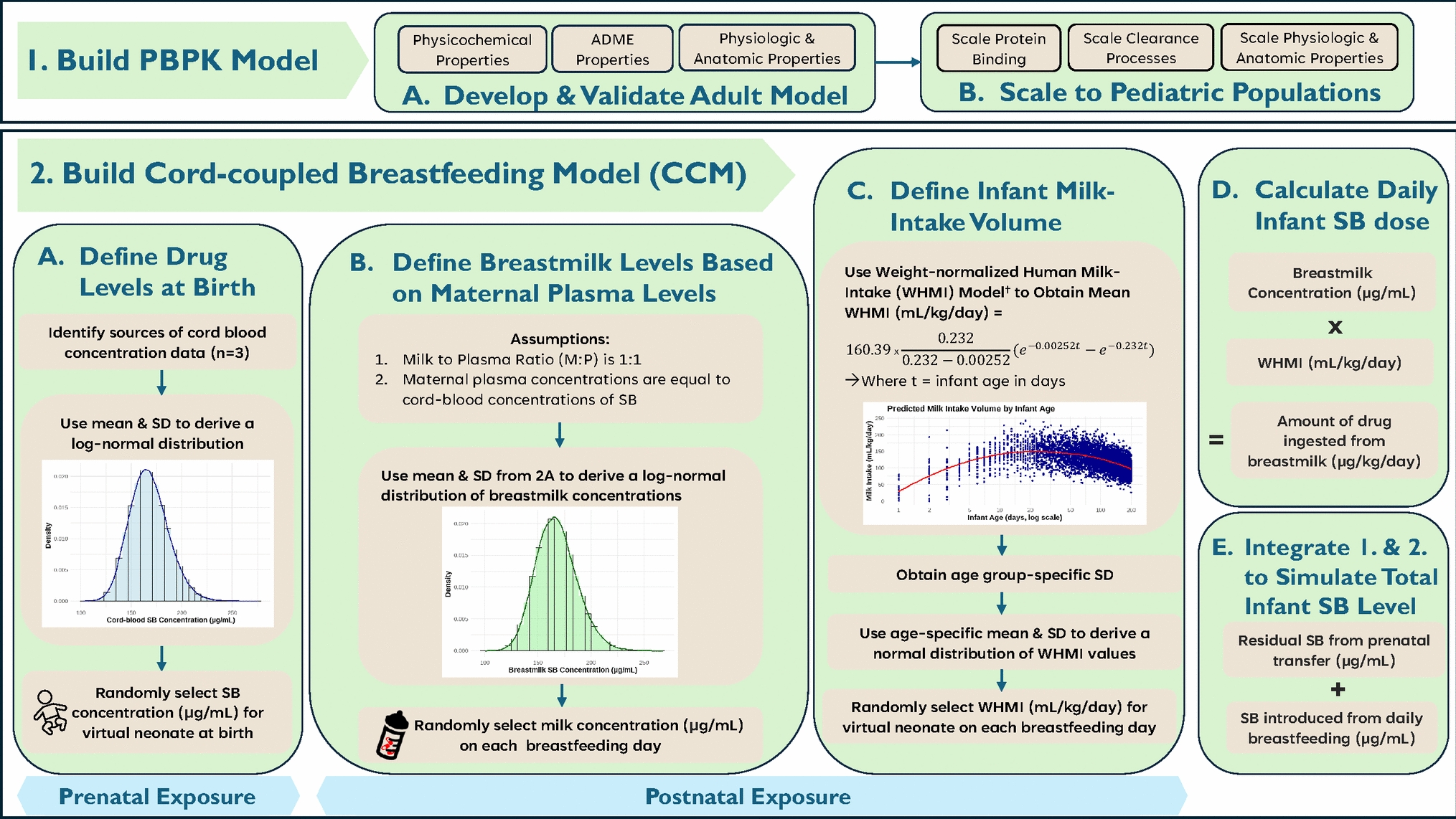 Predicting Cumulative Neonatal Sodium Benzoate Exposures During Breastfeeding with Physiologically Based Pharmacokinetic Modelling