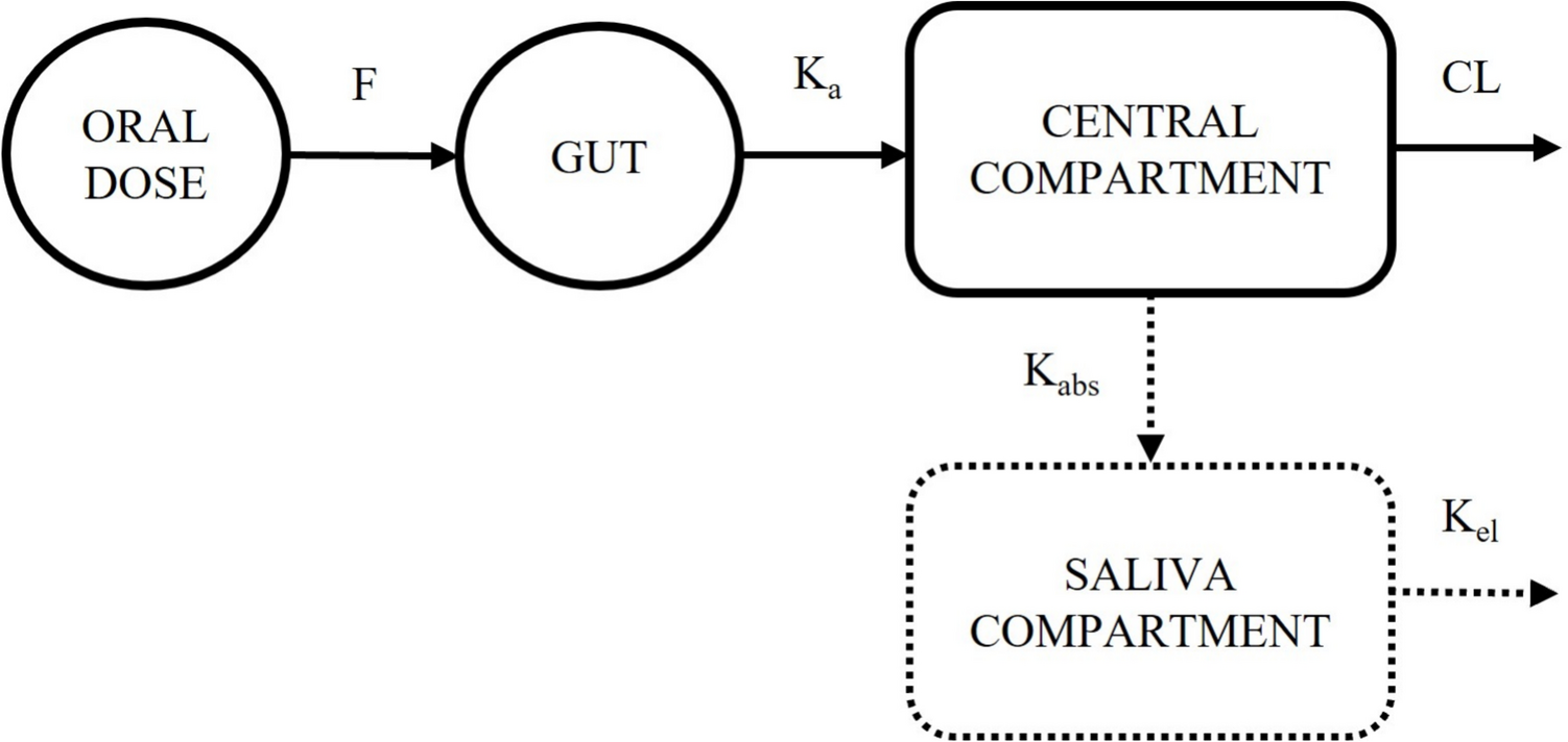 Single Saliva Sample Model-Informed Precision Dosing of Levofloxacin for Multidrug-Resistant Tuberculosis
