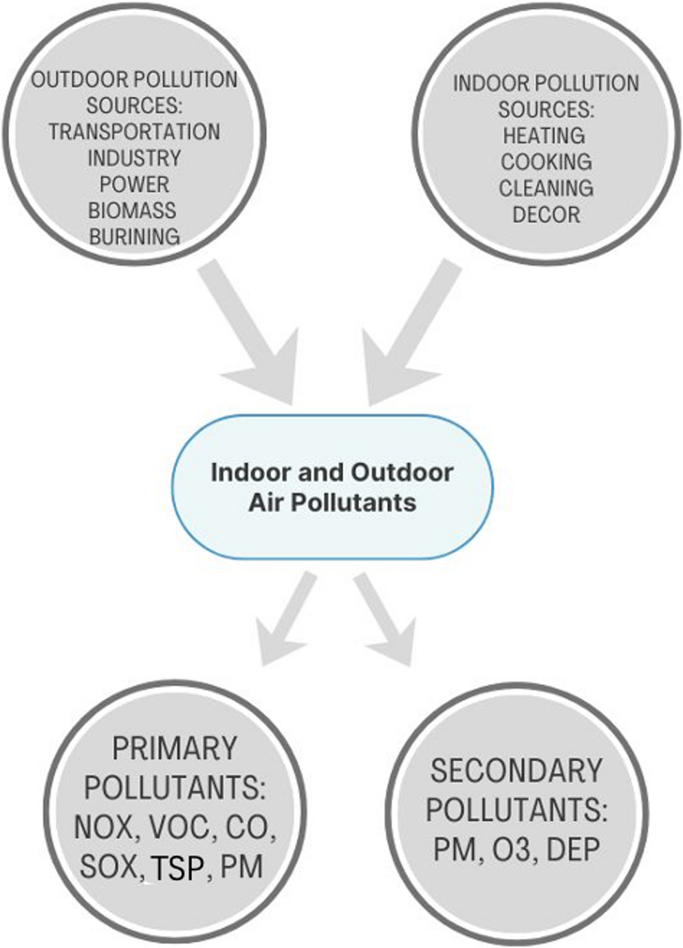 Unmasking the Impact of Air Pollution on Allergic Rhinitis