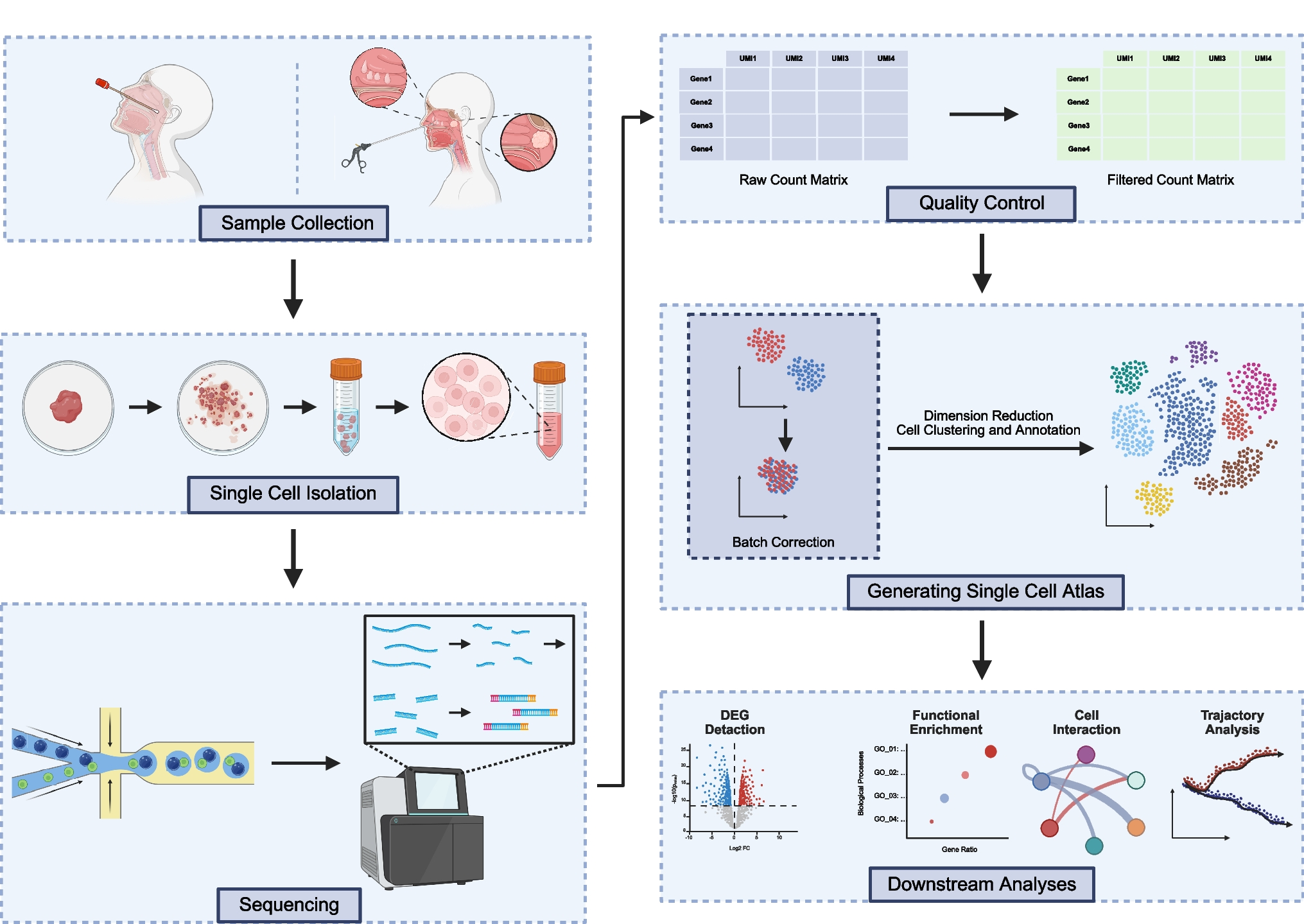 The Application of Single-cell RNA Sequencing Technology in the Research of Sino-Nasal Diseases