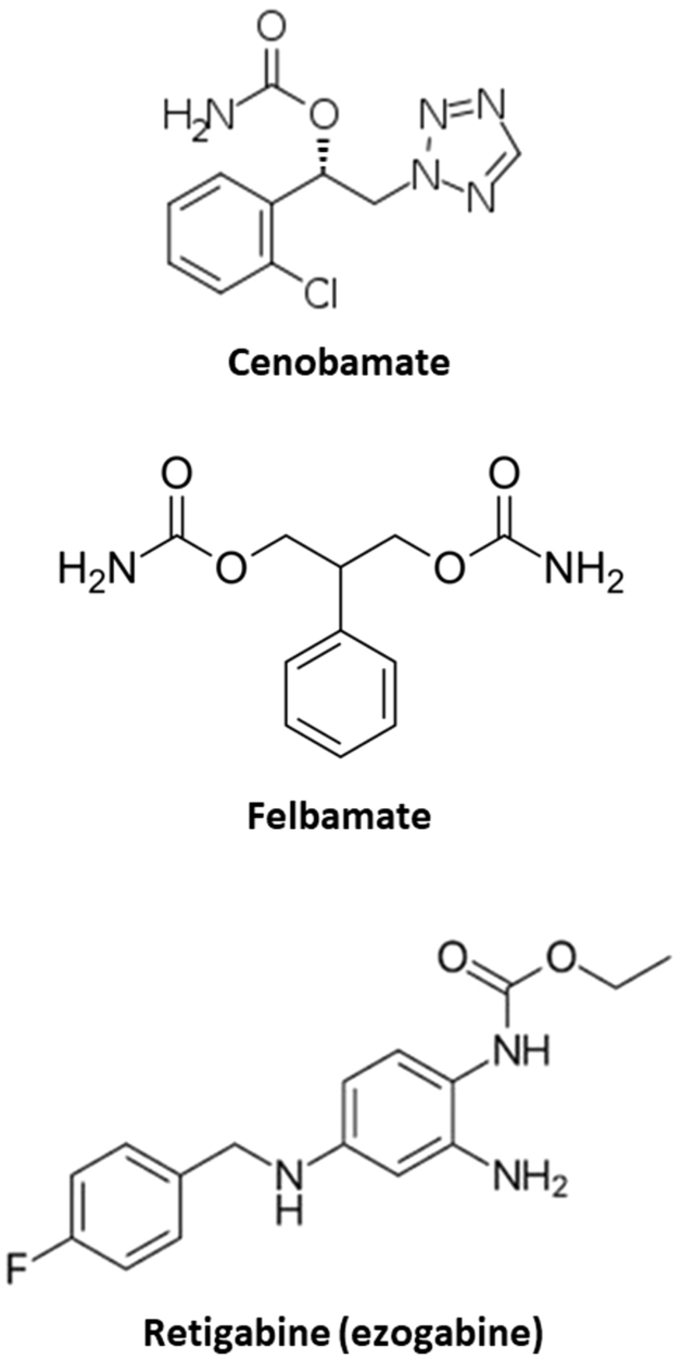 The Discovery of Cenobamate: A Drug with High Efficacy in Drug-Resistant Epilepsy