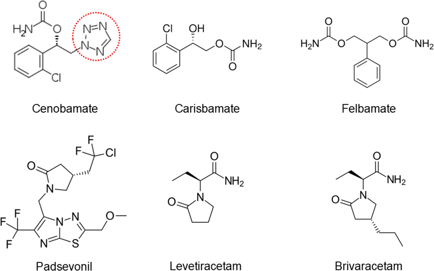 The Complexity and Challenges of Developing Effective Epilepsy Therapies: Lessons to be Learned from Comparing Cenobamate, Carisbamate, and Padsevonil