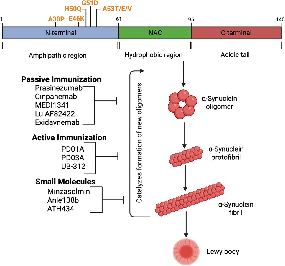 Pathological Protein Targets in Parkinson’s Disease: Progress Towards the Development of Disease-Modifying Therapies
