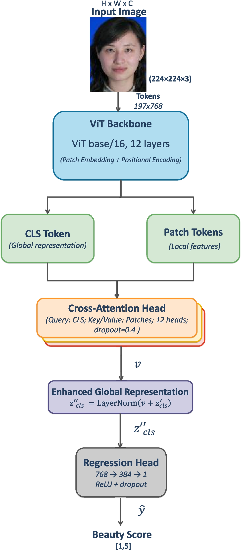 Enhancing Facial Beauty Prediction with a Cross-Attention Vision Transformer and Attention-Guided Augmentation