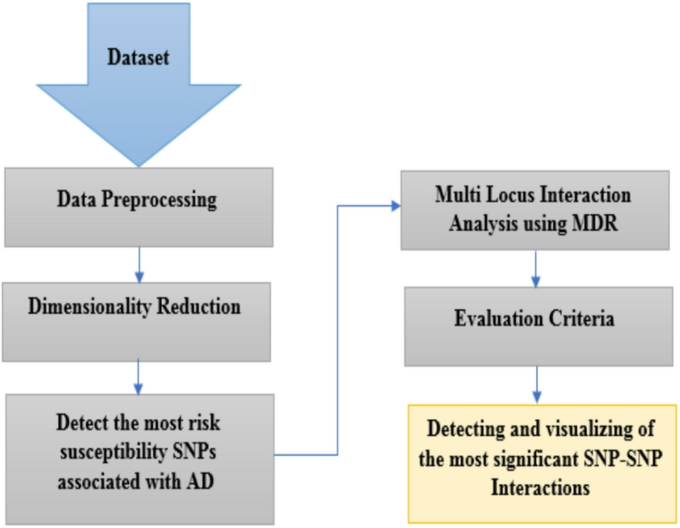 Computational Frameworks for Identifying and Visualizing SNP-SNP Interactions in Alzheimer’s Disease Risk