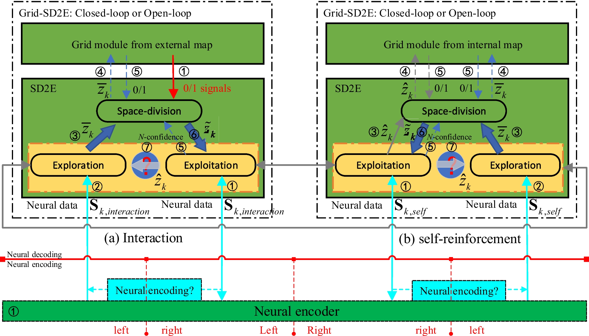 A Derived Functional Framework for Cognitive Computational Learning System