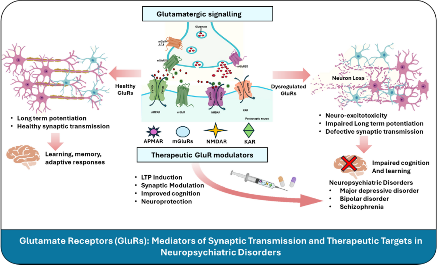 Glutamate receptors as regulators of synaptic plasticity in neuropsychiatric disorders: pathological insight and translational perspectives