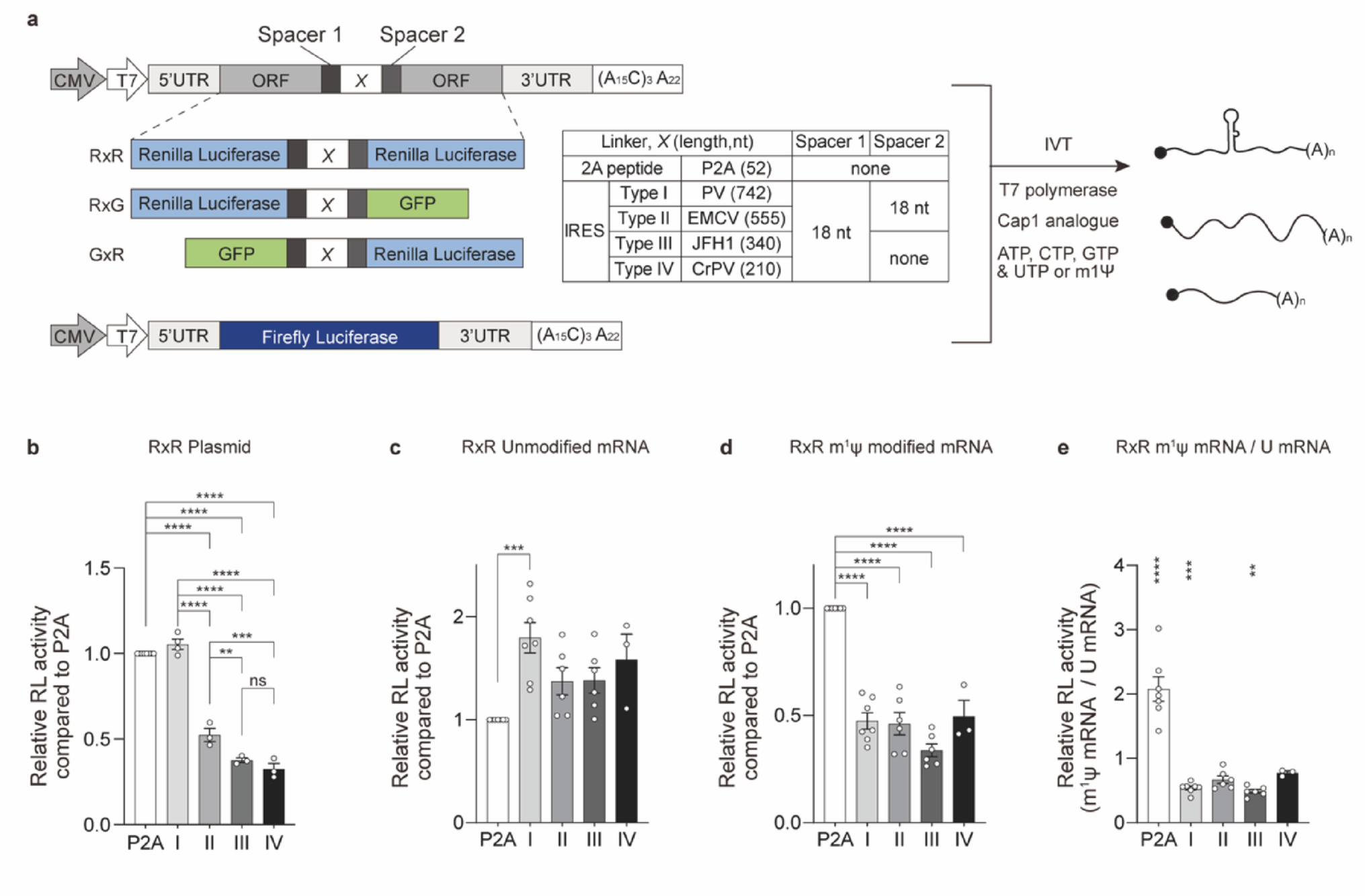 Platform-dependent performance of P2A and IRES linkers in multicistronic gene expression