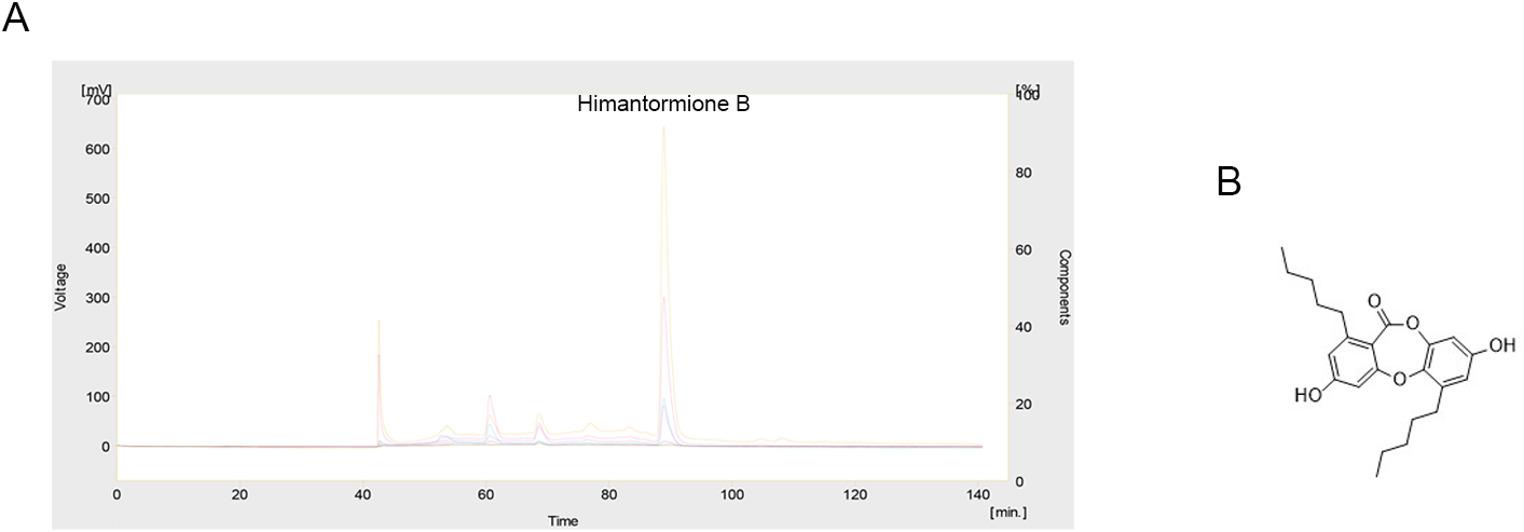 Anticancer activity of himantormione B: a new depsidone from the Antarctic lichen , in colorectal cancer