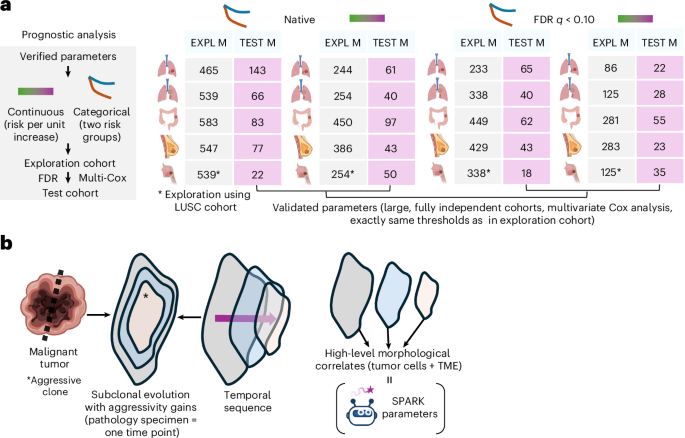 Autonomous pathology research using agentic AI shows potential in oncology
