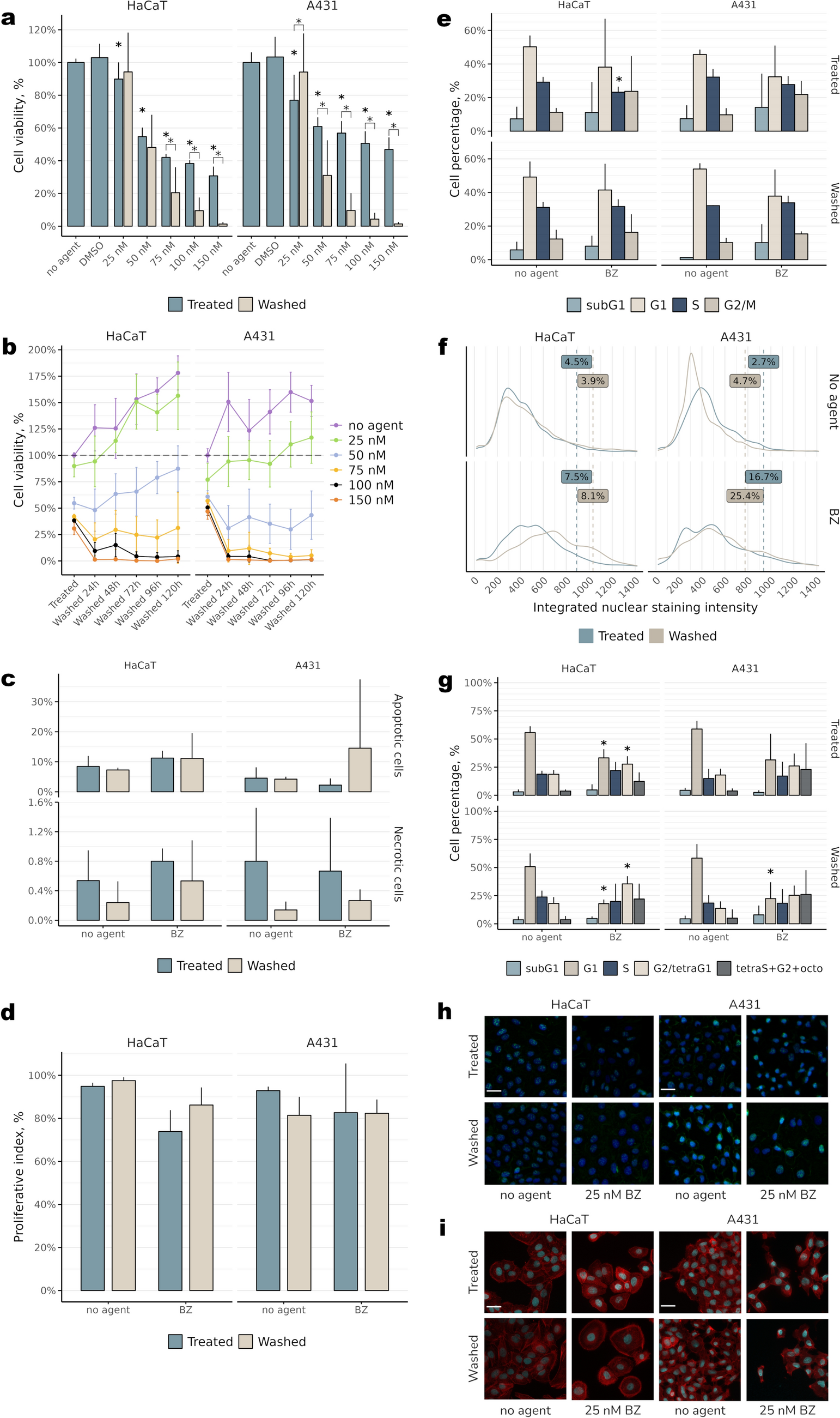 ER stress affects proliferation and induces polyploidization of cultured human HaCaT and A431 cells