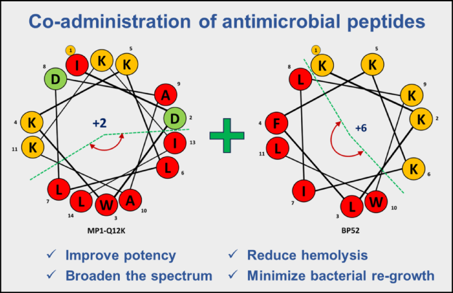 Co-administration of Antimicrobial Peptides: A Promising Strategy to Broaden Antibacterial Activity and Minimize Hemolysis