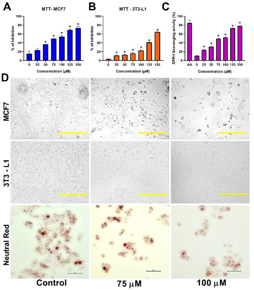 Dual Redox-Apoptotic Mechanism of Cyclo(Pro-Tyr): A Marine-Derived Anticancer Peptide Targeting Mitochondrial Dysfunction in Breast Cancer Cells