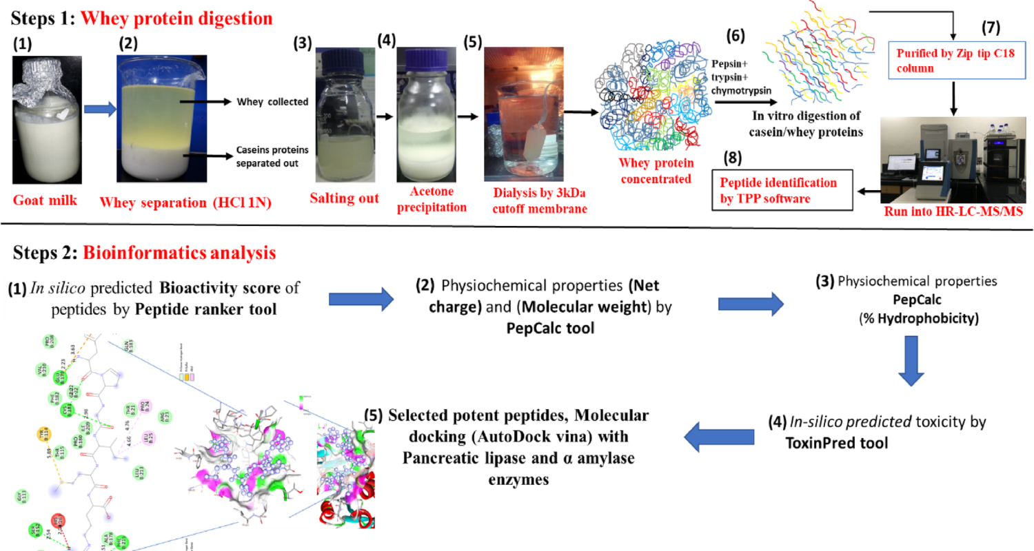 Mass Spectrometry-Guided Library Preparation of Peptides as Metabolic Enzyme Natural Inhibitors for the Management of Obesity and Diabetes