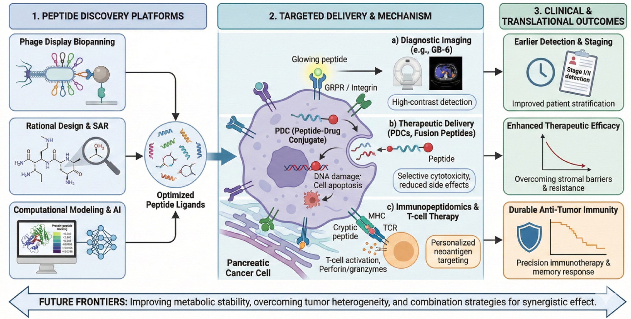 Peptide-Based Strategies for Pancreatic Cancer: From Discovery Platforms to Theranostic and Immunopeptidomic Frontiers