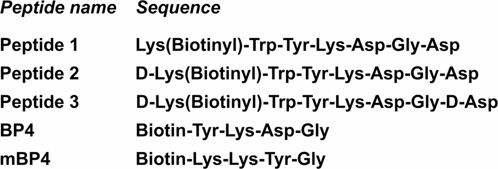 Biotinylated Heptapeptides Containing -amino Acids as Potential Anti-allergic Agents Targeting Cysteinyl Leukotrienes