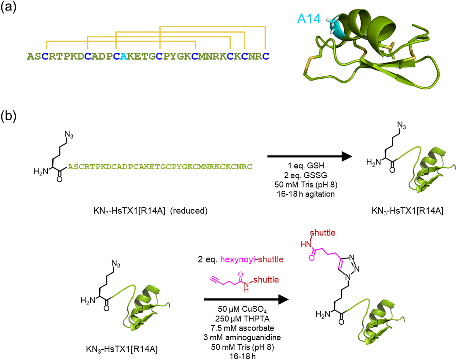 Brain Delivery of a Kv1.3-Blocking Peptide is not Enhanced by Conjugation to Blood–Brain Barrier Shuttle Peptides