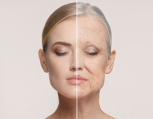 Study explains how APOE2 gene protects the brain against Alzheimer's disease