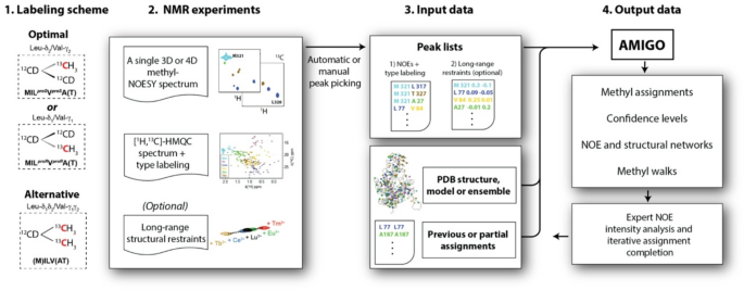 AMIGO - Guided assignment of C-methyl labelled proteins