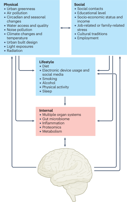 Linking the exposome to the brain–behaviour phenotype