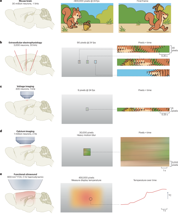 Large-scale electrophysiology at single-spike resolution