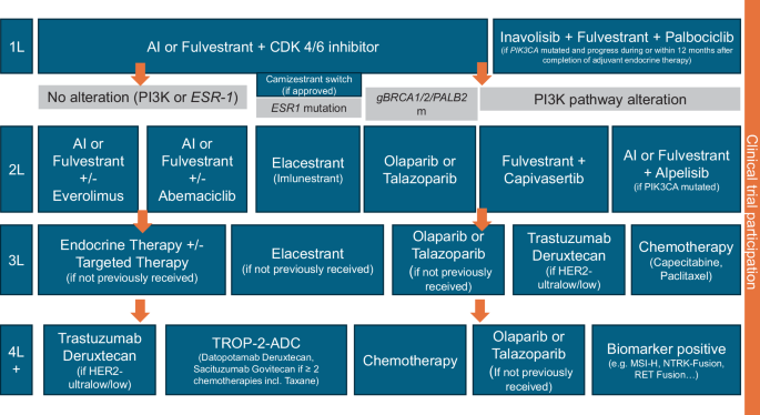 Individualizing treatment sequence in metastatic luminal breast cancer