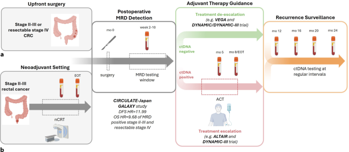 Circulating tumor DNA in colorectal cancer: from prognostic insight to emerging clinical standard