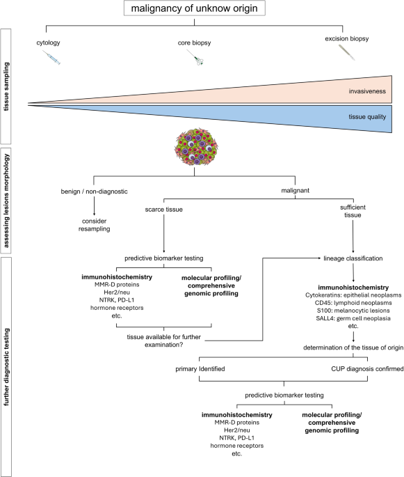 Diagnostic approaches to cancer of unknown primary—the pathologist’s perspective