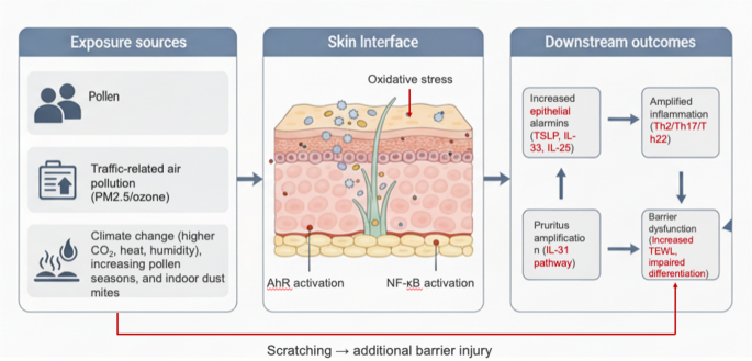 Aeroallergens in Atopic Dermatitis and Chronic Urticaria