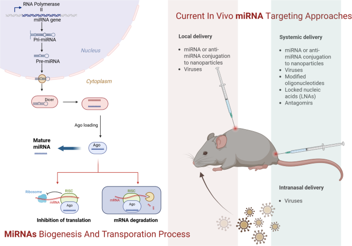 MicroRNAs as current diagnostic biomarkers and potential therapeutic targets in allergic and non-allergic rhinitis – A functional characterization