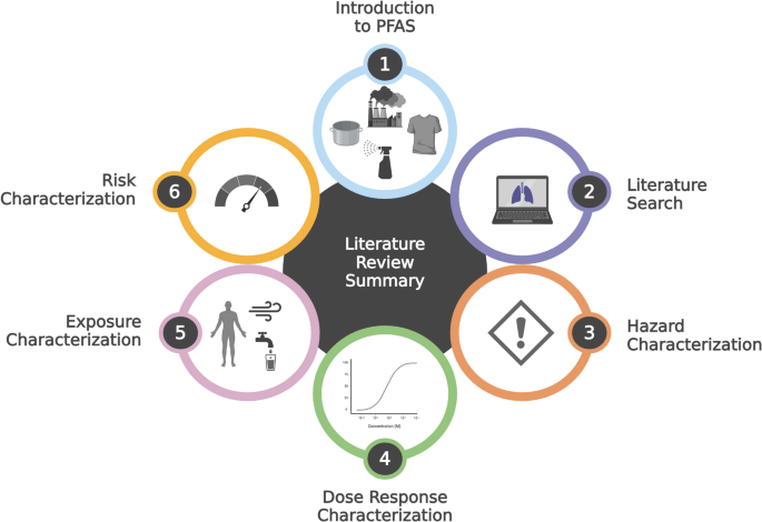 Current Status of Per- and Poly-Fluoroalkyl Substances (PFAS) Exposure on Lung Cell Biology and Pulmonary Outcomes along Human Health Risk Assessment Steps