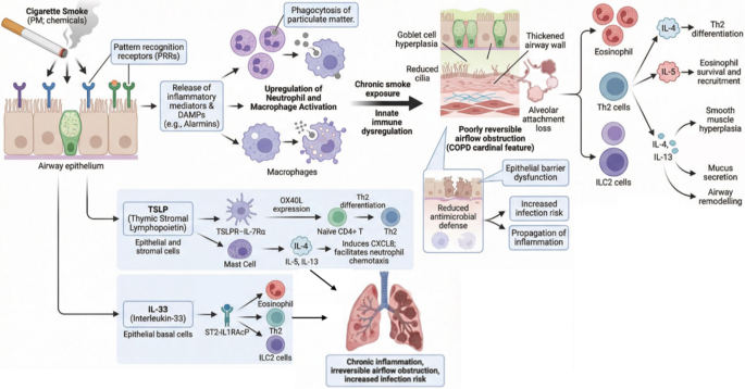 Beyond Triple Therapy: Anti-Type 2 Biologic Therapies for Eosinophilic COPD and Respiratory Comorbidities - a Review of Clinical Evidence