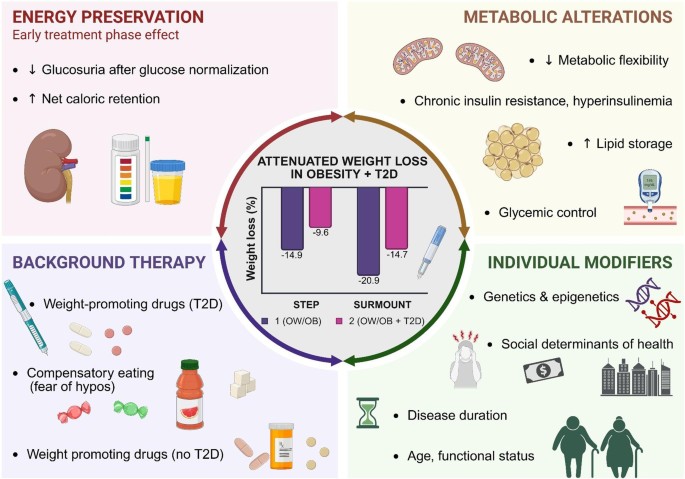 Pharmacologic Treatment of Obesity in the Context of Type 2 Diabetes
