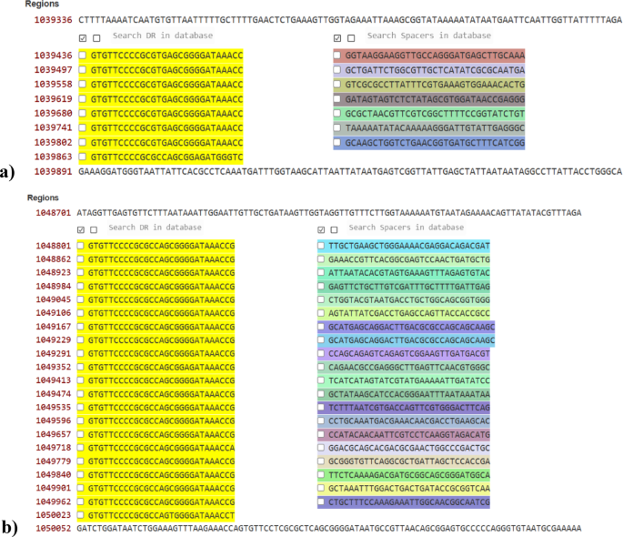 The CRISPR-cas repertoire of : insights from genomic data