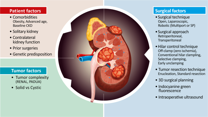 Surgical Determinants of Outcomes in Partial Nephrectomy: a Contemporary Review