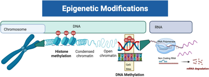 Epigenetic aging is a hallmark of HIV pathogenesis and phenotypic outcomes