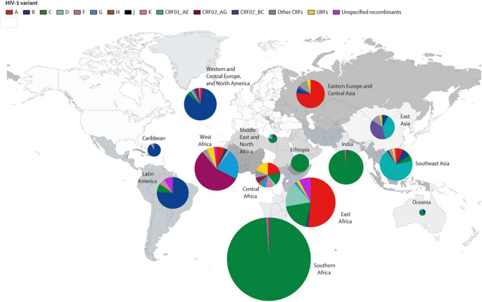 The Implications of HIV-1 Subtypes on Pathogenesis, Reservoirs and Cure Strategies
