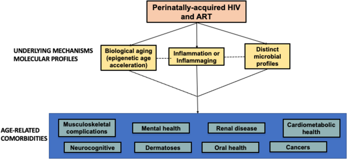 The State of the Science on Chronic Comorbidities and Aging in Children and Adolescents with perinatally-acquired HIV